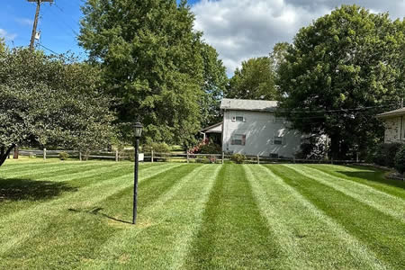 How Often Should You Mow Your Marietta Lawn Through the Season? Thumbnail