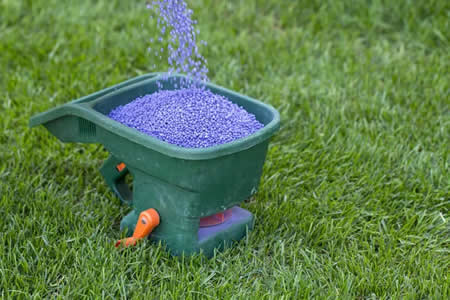 Lawn technician applying granular fertilizer to a front yard in the mid ohio valley