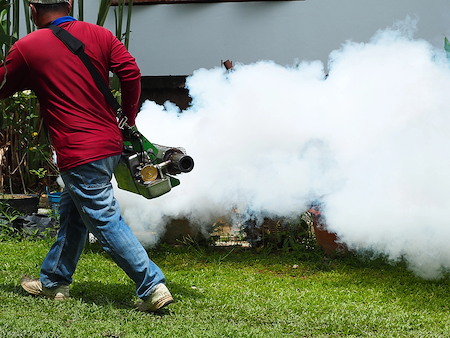 Mosquito control for yards how barrier treatments work and how long they last