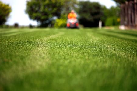 The Importance of Lawn Maintenance: How Frequent Lawn Care Can Improve Your Commercial Business Thumbnail