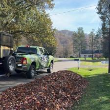 Leaf Cleanup 5