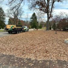 Leaf Cleanup 2