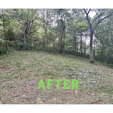 Brush-mowing-with-Ventrac-tractor 0