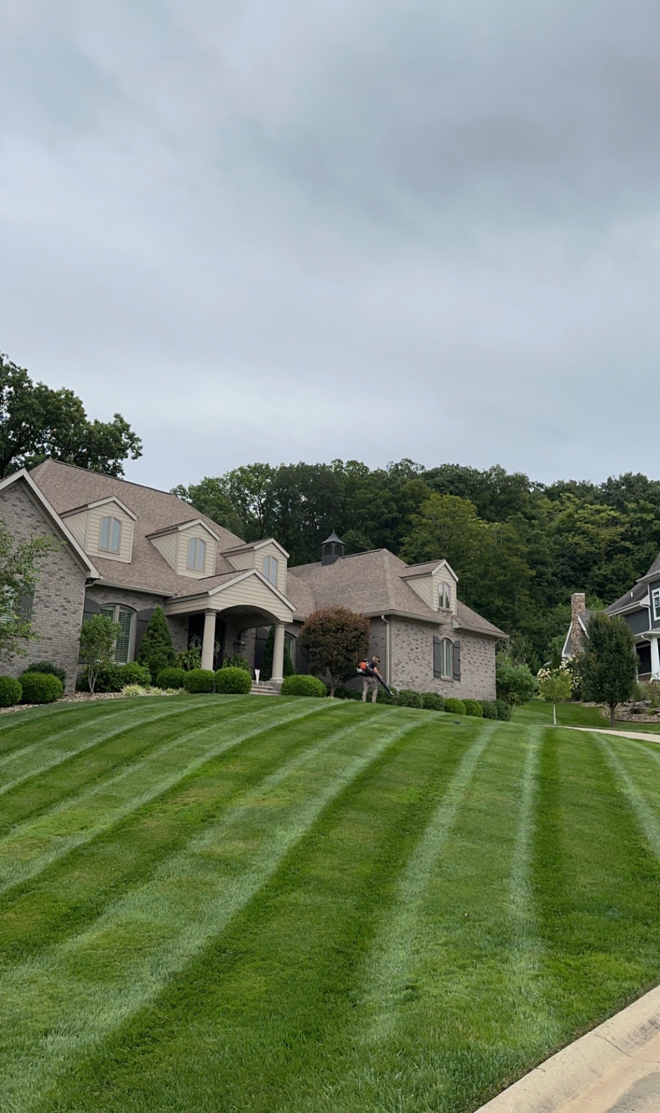 Professional Lawn Care in Williamstown Wv Image