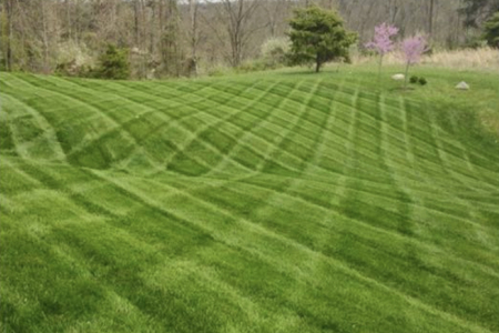 Aeration overseeding