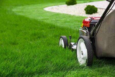 Lawn mowing