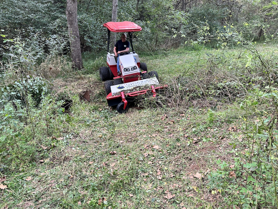 Vienna brush mowing